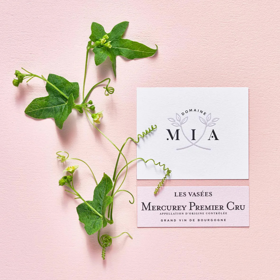 Etiquette 1er Cru Les Vasées - Vin de Bourgogne Bio - Domaine Mia