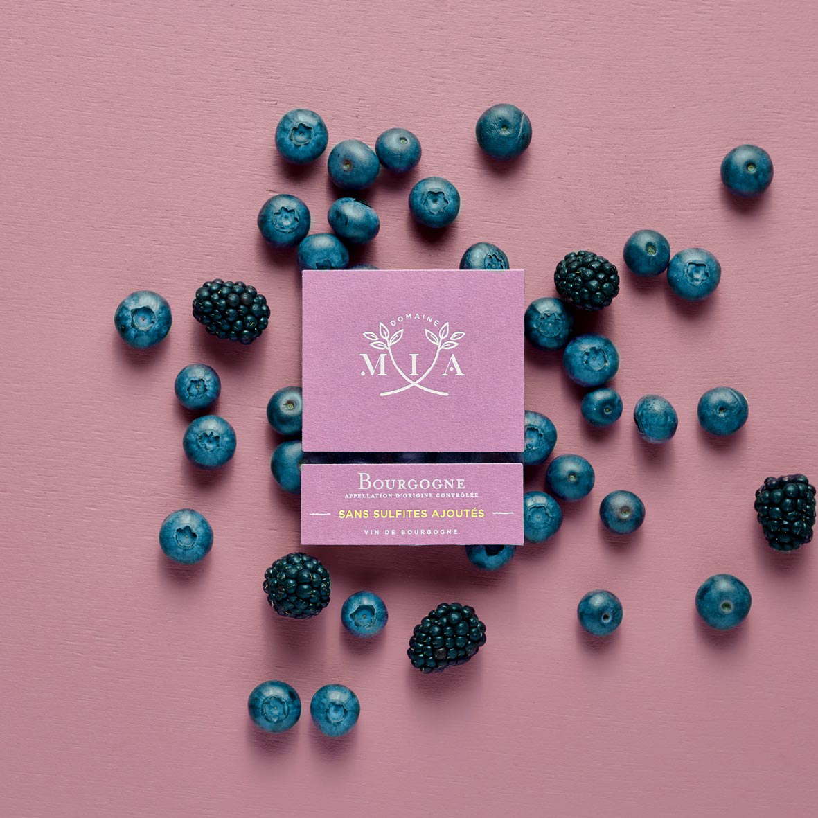 Etiquette Vin de Bourgogne Bio Sans Sulfites Domaine Mia