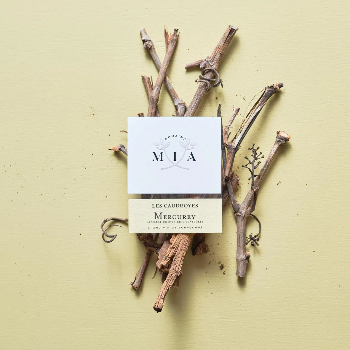 Etiquette Les Caudroyes Blanc - Vin Bio de Bourgogne - Domaine Mia