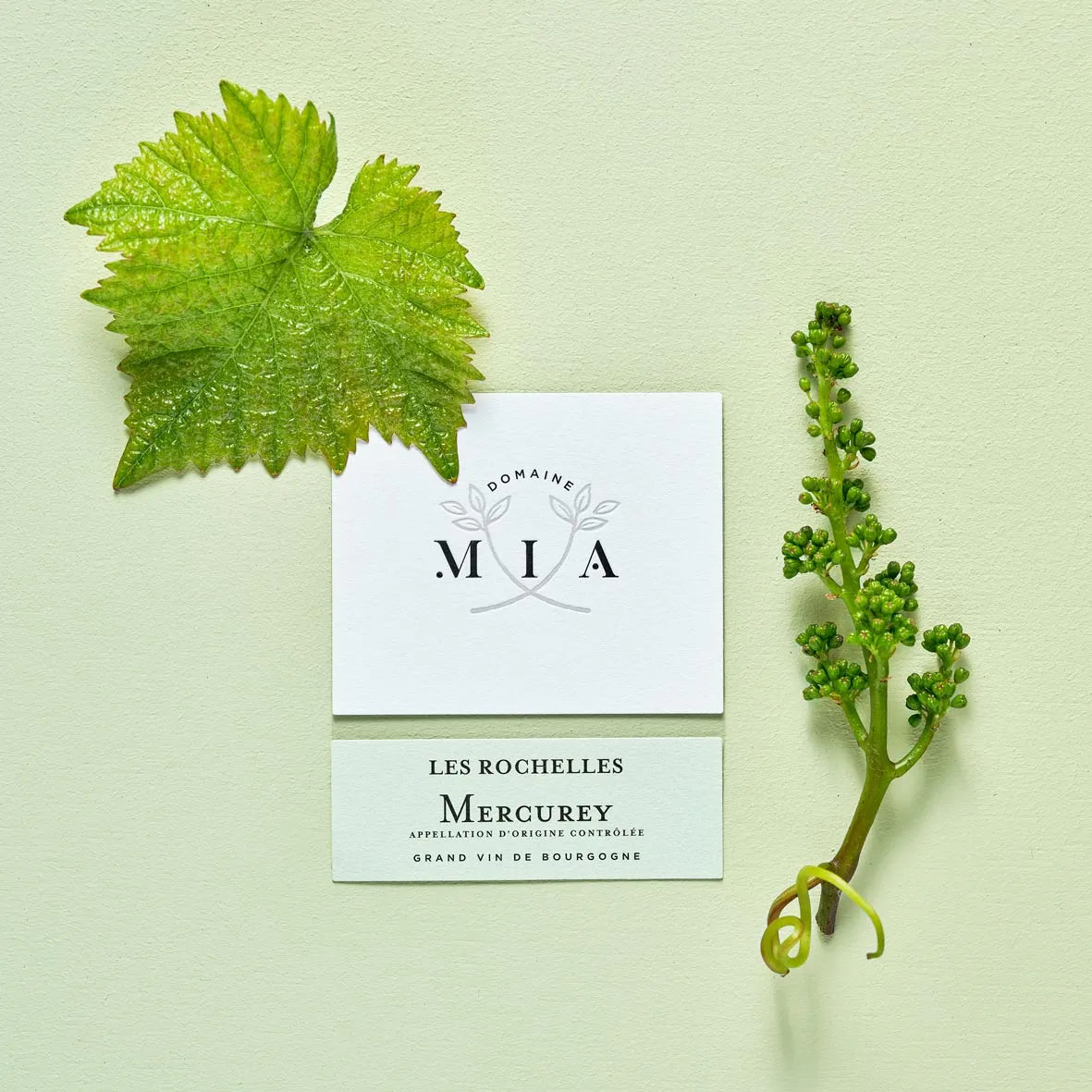 Étiquette Les Rochelles Grand Vin de Bourgogne Blanc - Domaine Mia