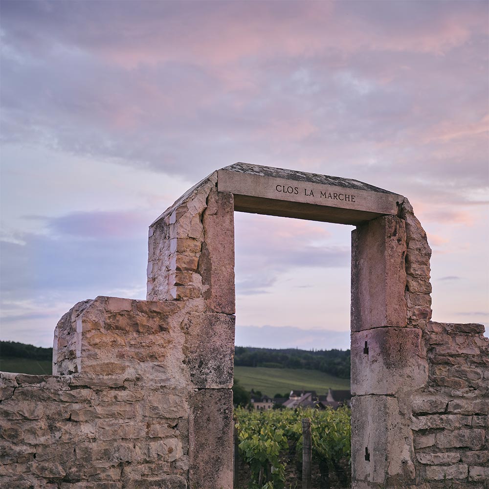 Le Clos la Marche, une longue histoire chez Domaine MIA